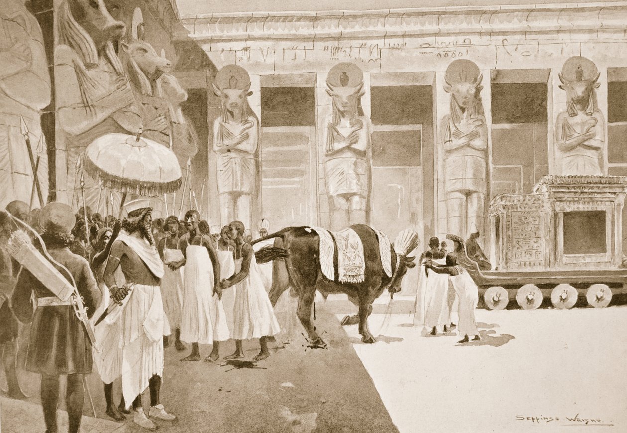 कैंबिस ने पवित्र बैल को मार डाला, &39;हचिन्सन हिस्ट्री ऑफ द नेशंस&39; से चित्रण, c.1910 द्वारा हेनरी चार्ल्स सेपिंग्स राइट