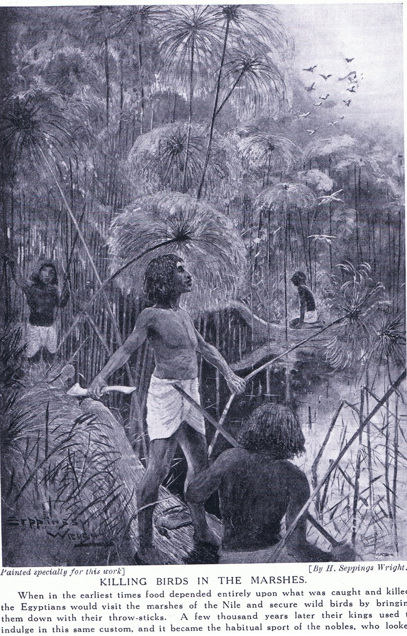 पक्षियों को मारना दलदल में, c.1920 द्वारा हेनरी चार्ल्स सेपिंग्स राइट
