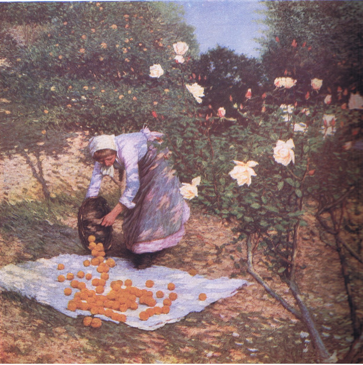 प्रोवेनकल शीतकालीन, बिबिस वार्षिक, 1916-1917 द्वारा ला थांगु के बाद हेनरी हर्बर्ट