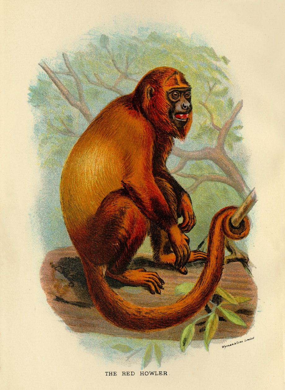 द रेड हॉलर, 1896 द्वारा हेनरी ऑग फोर्ब्स
