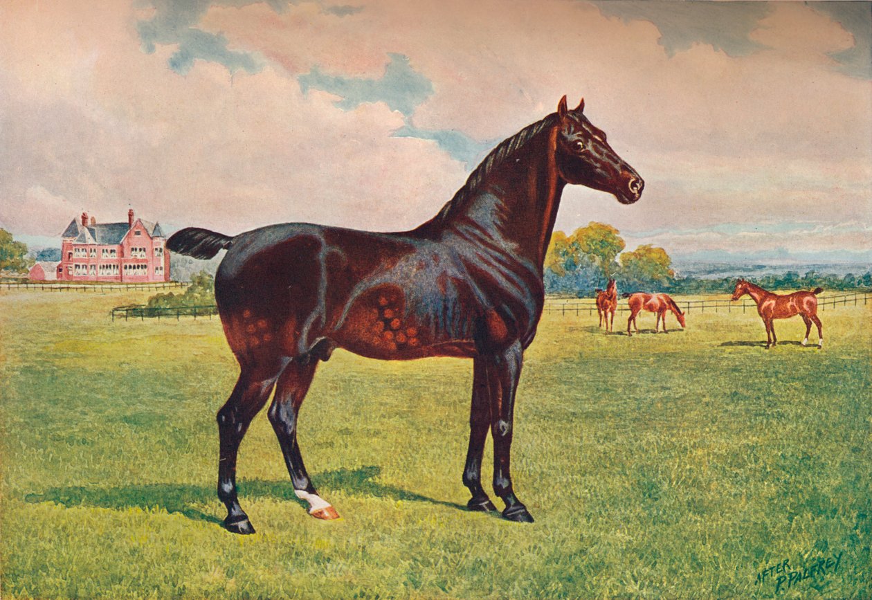 हैकनी पोनी स्टैलियन बर्कले मॉडल, c1900 c1910 द्वारा हेनरी पॉवेल पल्फ्रे