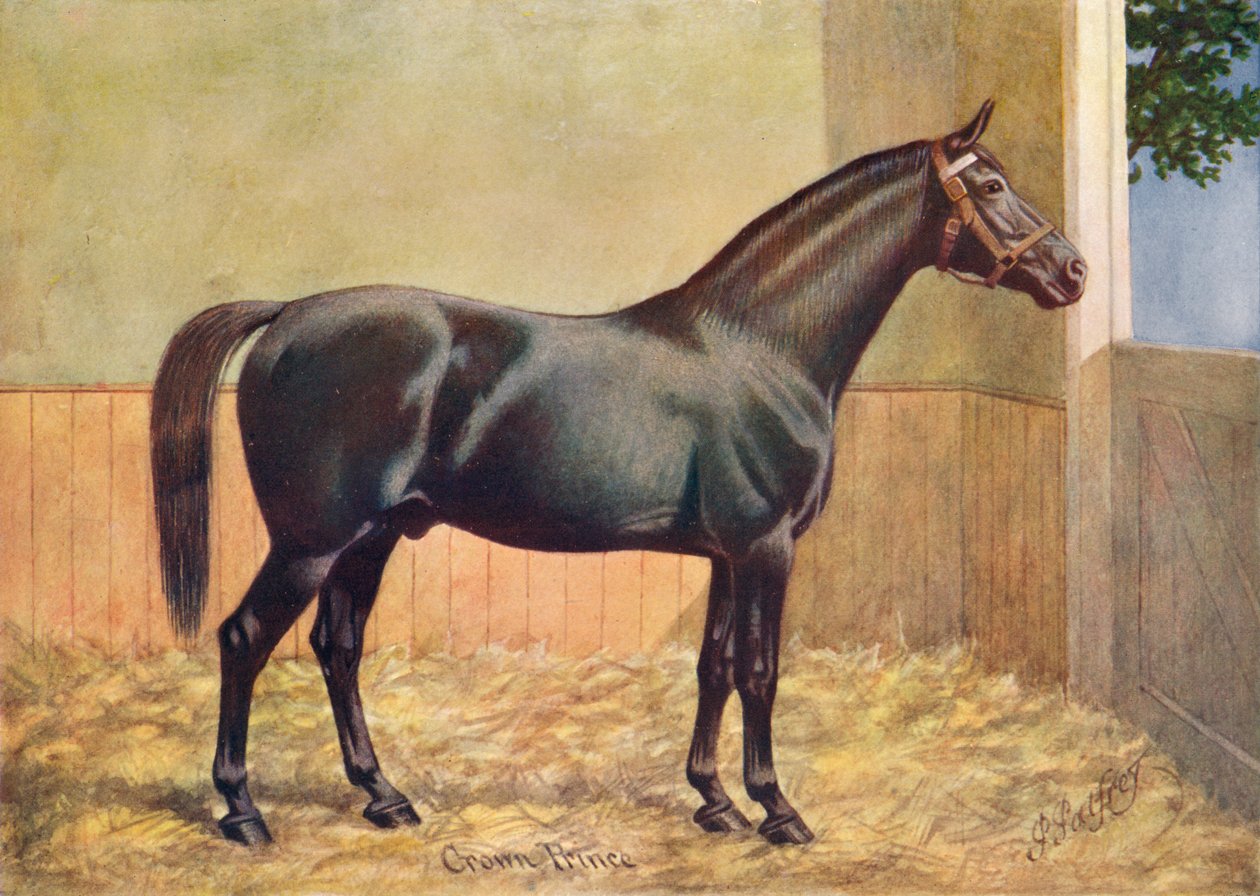 यॉर्कशायर के कोच हॉर्स स्टालियन क्राउन प्रिंस, 1902 c1910 द्वारा हेनरी पॉवेल पल्फ्रे