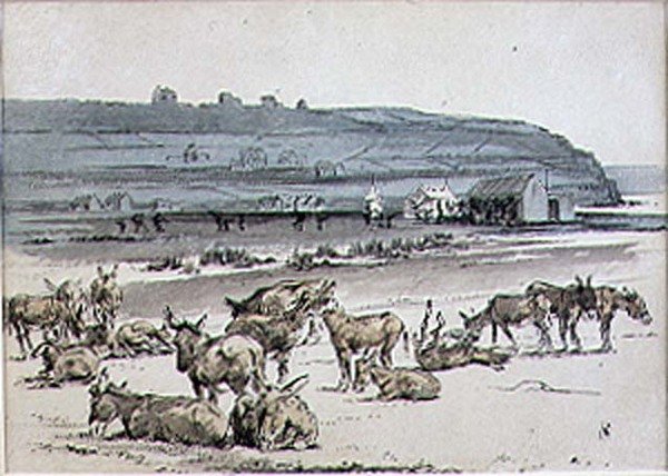 गोल्फ कोर्स पर गधे, 'ग्राफिक' पत्रिका, पब से चित्रण। c.1870 (लिथो) द्वारा हेनरी सैंडरिकॉक