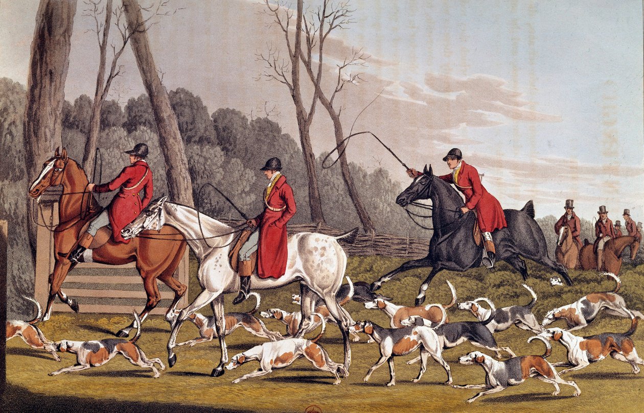 शिकार: "" लोमड़ी का शिकार"" हेनरी एल्केन (1774-1850) द्वारा अंग्रेजी लिथोग्राफी 19 वीं शताब्दी पेरिस, बीएन द्वारा हेनरी थॉमस अल्केन