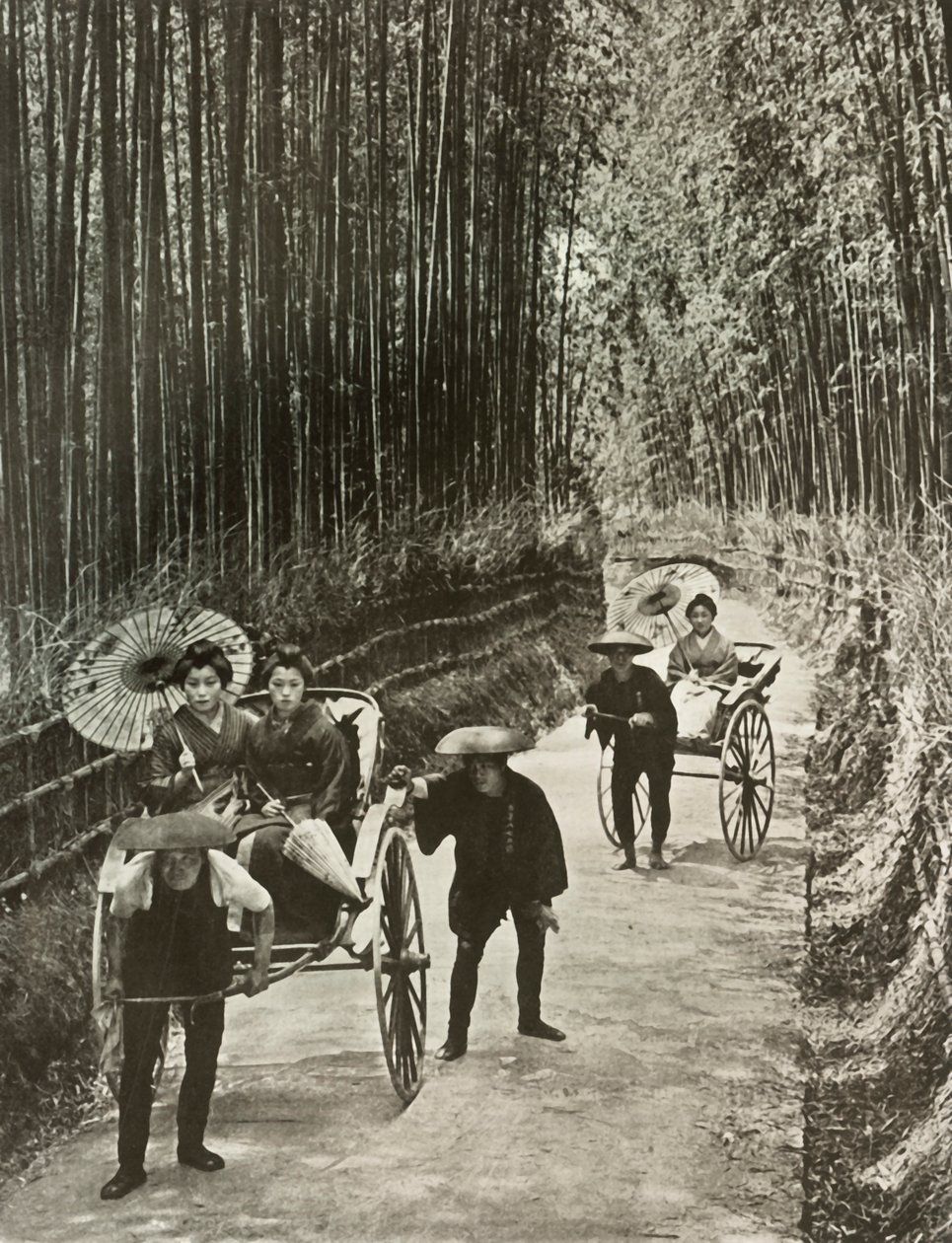 क्योटो में एक बांस एवेन्यू, 1910। द्वारा हर्बर्ट पोंटिंग