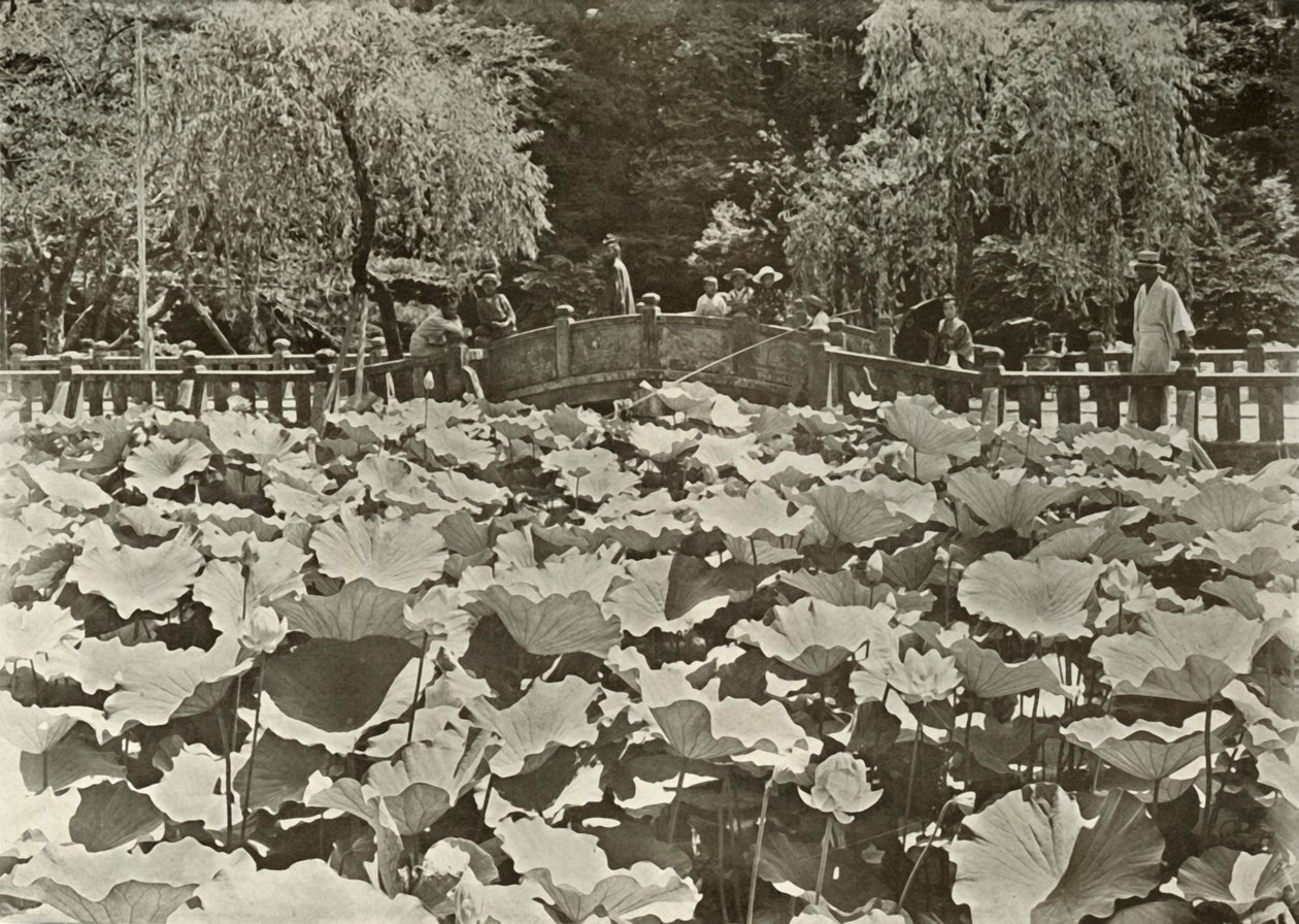 ए लोटस पॉन्ड, 1910। द्वारा हर्बर्ट पोंटिंग