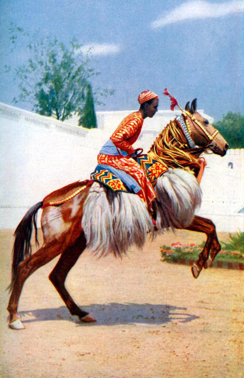 एक अरब नृत्य घोड़ा, उदयपुर, भारत, 1922। द्वारा हर्बर्ट पोंटिंग