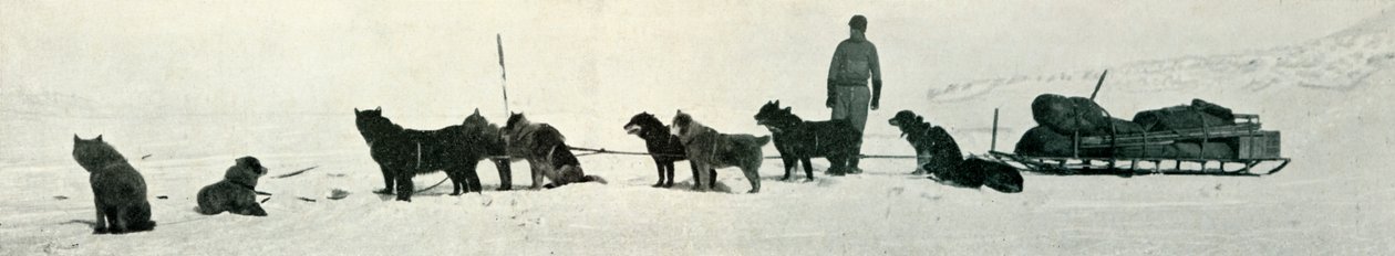 स्टोर्स विद हाउज़ पॉइंट छोड़ने वाले कुत्ते, c1911, 1913 द्वारा हर्बर्ट पोंटिंग