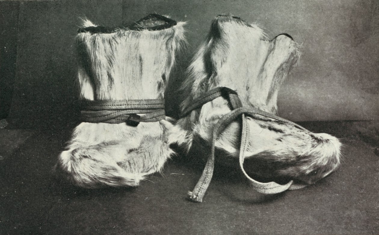 फिनेसको, c19101913, 1913। द्वारा हर्बर्ट पोंटिंग
