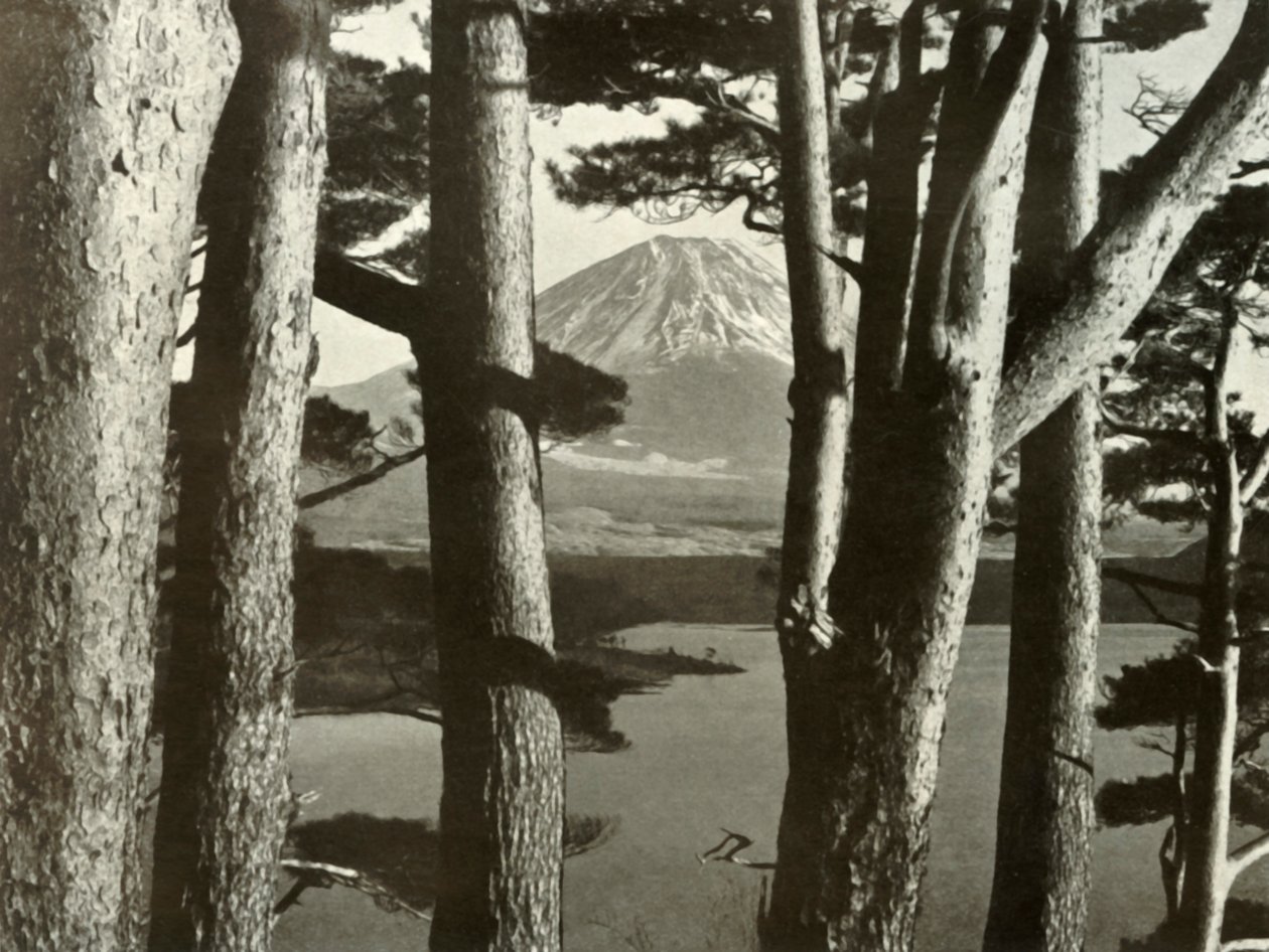 फ़ूजी और पाइन के पेड़, 1910। द्वारा हर्बर्ट पोंटिंग