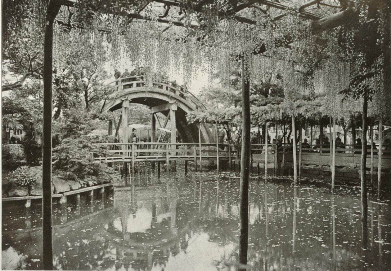 कमेइडो, 1910। द्वारा हर्बर्ट पोंटिंग