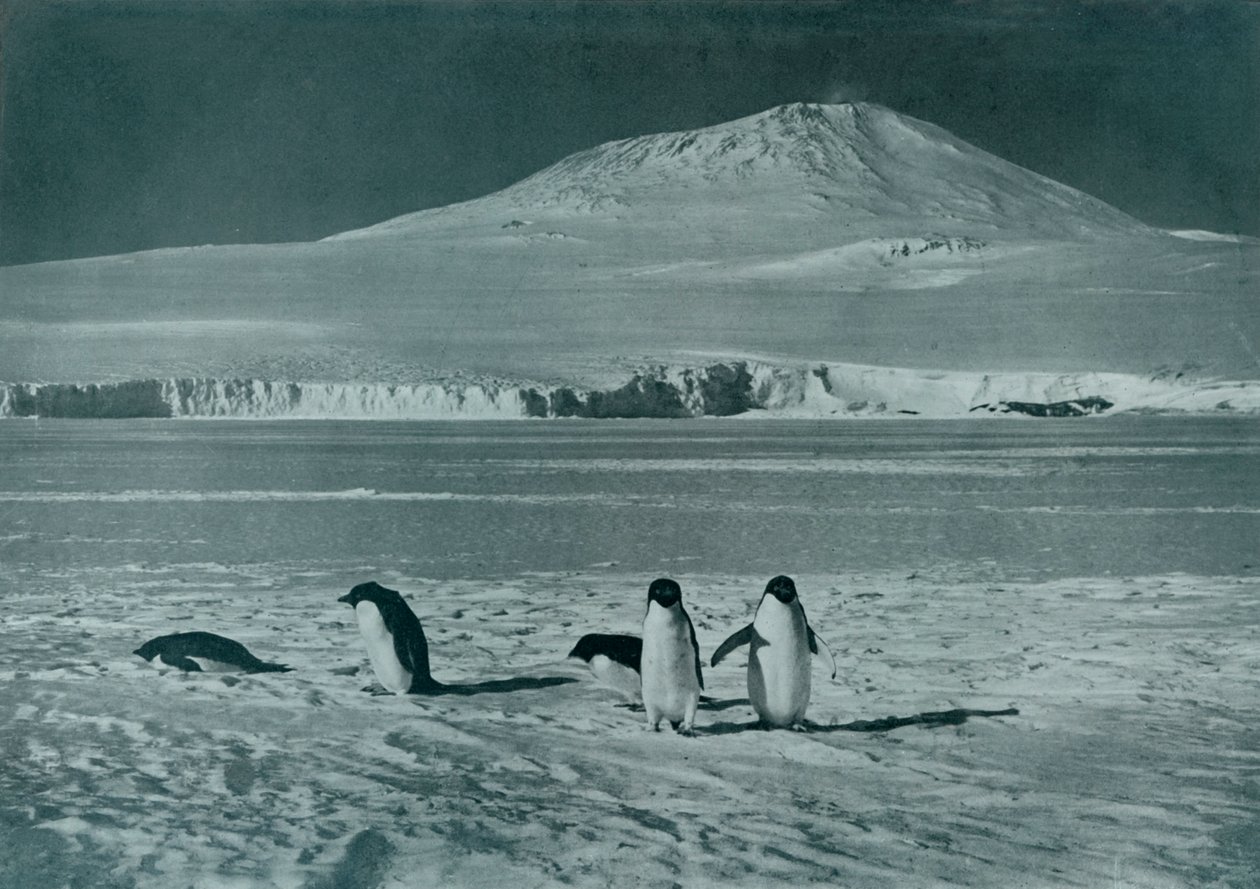 माउंट इरबस, c1911, 1913 द्वारा हर्बर्ट पोंटिंग