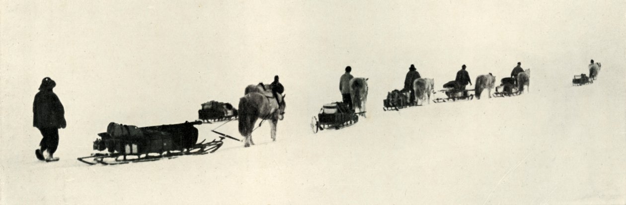 मार्च, 1911, 1913 को पोंजी द्वारा हर्बर्ट पोंटिंग