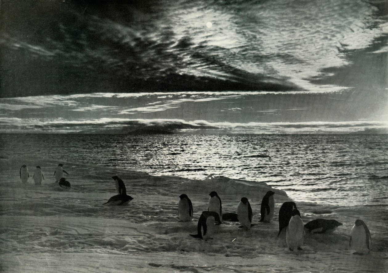 McMurdo साउंड में द मिडनाइट सन, c19101913, 1913 द्वारा हर्बर्ट पोंटिंग