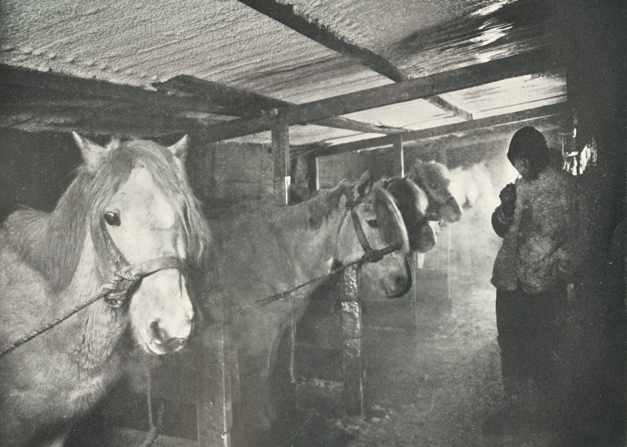 शीतकालीन में अस्तबल, c19101911, 1913 द्वारा हर्बर्ट पोंटिंग