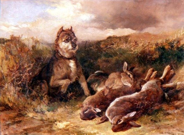 गेम के साथ वेस्ट कंट्री टेरियर द्वारा हेवुड हार्डी