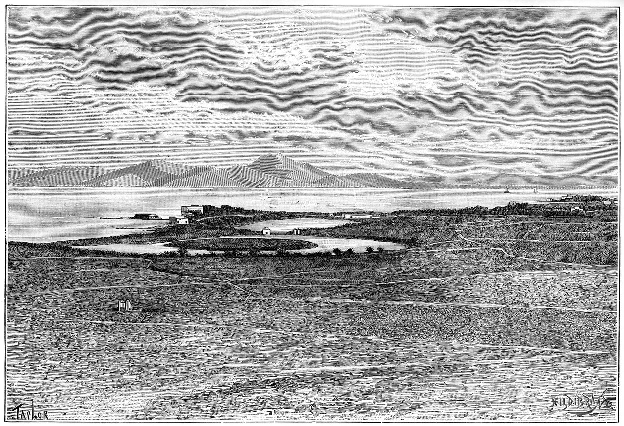 कार्टाज, ट्यूनीशिया के पुराने बंदरगाह, c1890 द्वारा Hildibrand