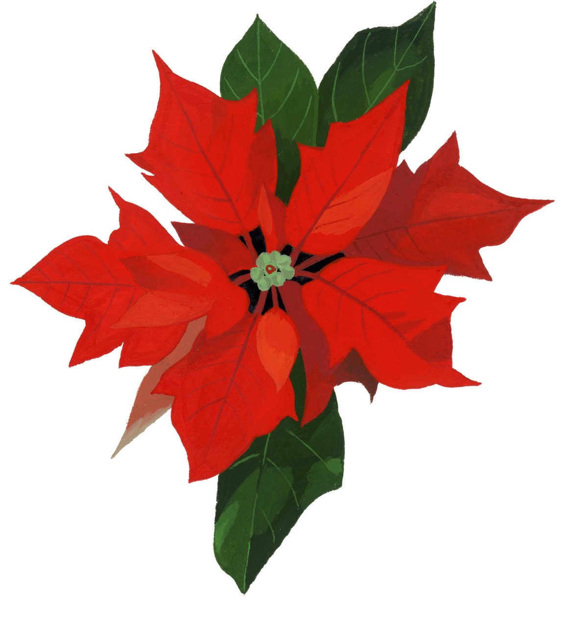 poinsettia द्वारा हिरोयुकी इज़ुत्सु