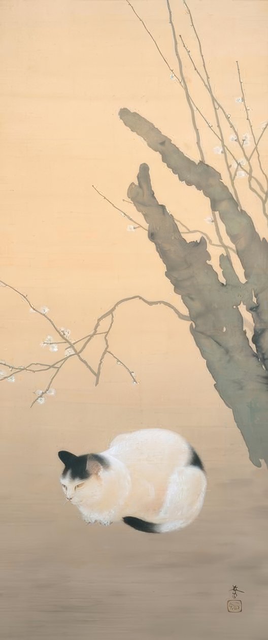 Hishida shunso, बिल्ली और बेर फूल द्वारा हशिदा शुंसो