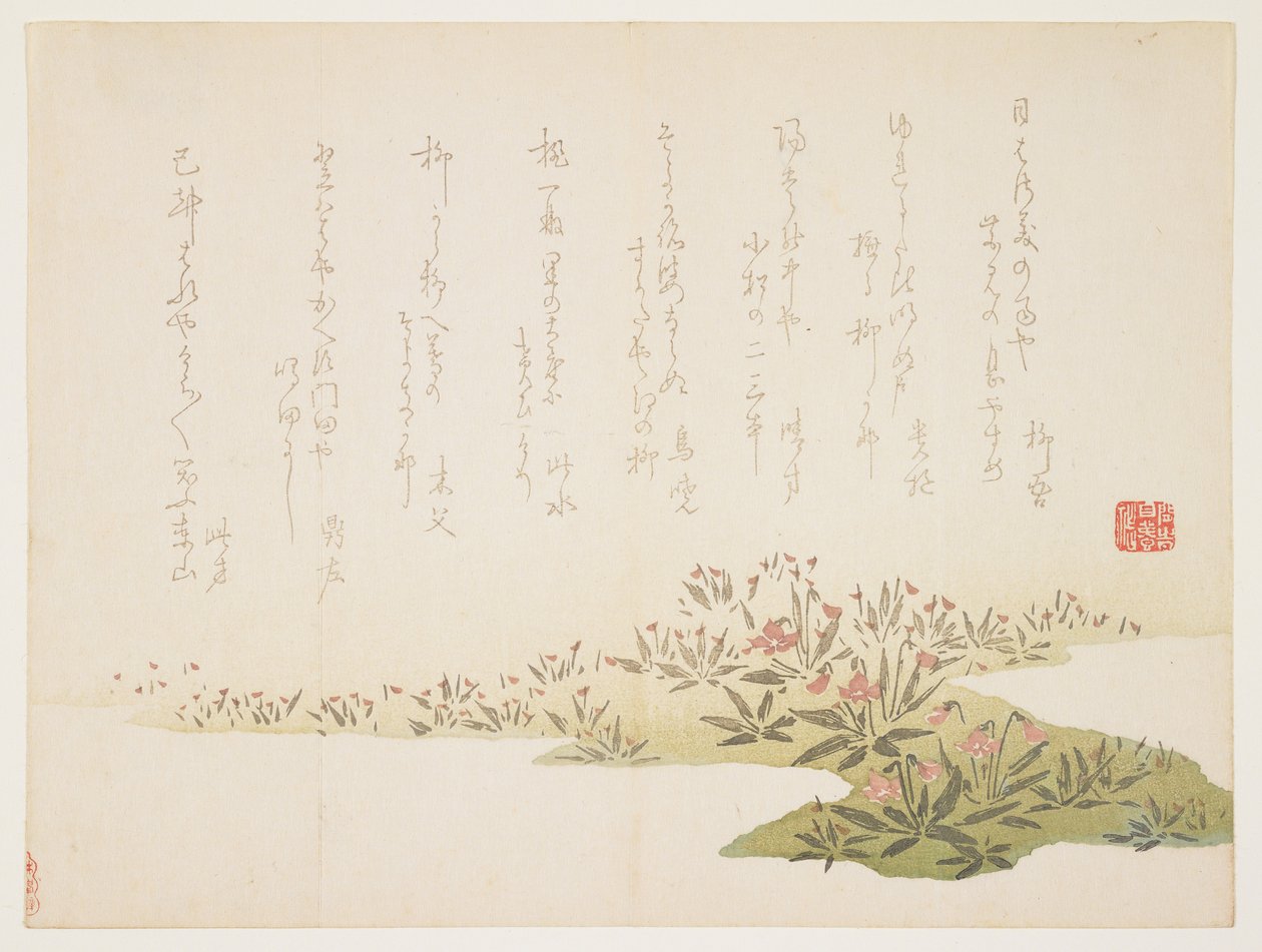 Violets, c.1848-53 (कलर वुडब्लॉक प्रिंट) द्वारा 