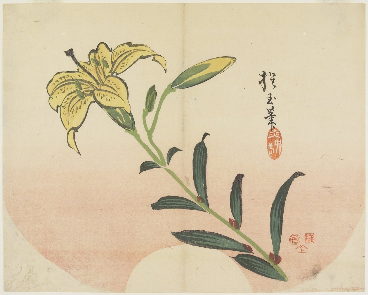 (लिली), 1839 द्वारा Hogyoku