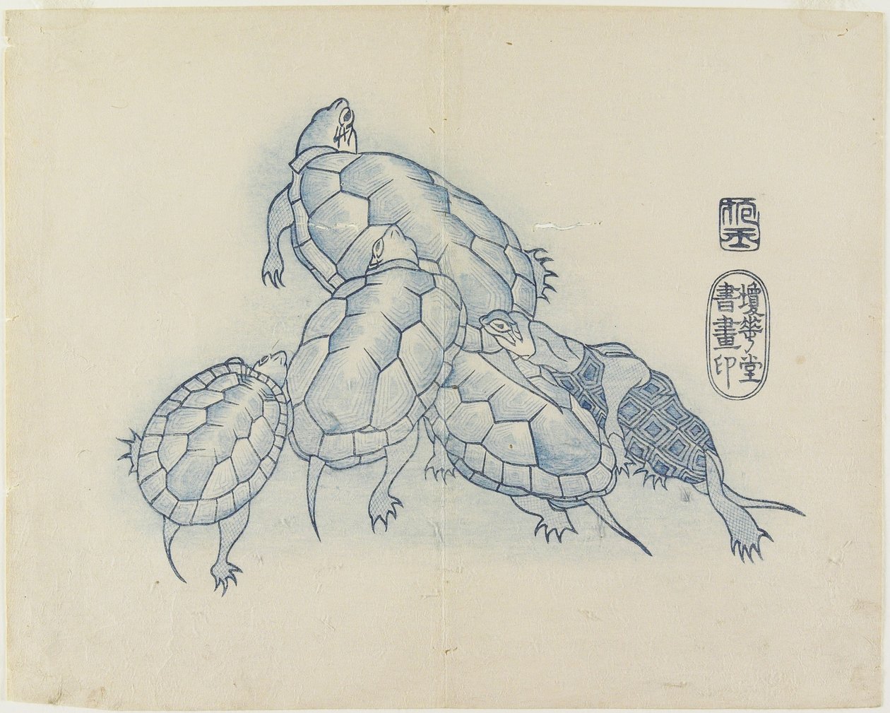 (कछुए), सी। 1830 द्वारा Hogyoku