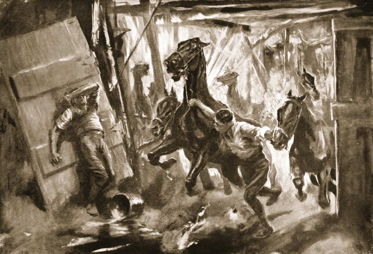 अनंतिम Farrier-Sergeant Cussens अस्तबल से घोड़ों को निकालते हैं जिसमें एक खोल फट गया था द्वारा हॉवर्ड के एलकॉक