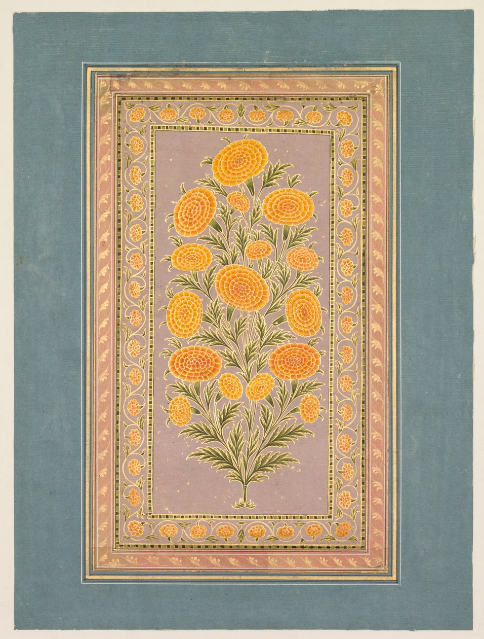 फूल गेंदा, सी। 1765. द्वारा हुनर II