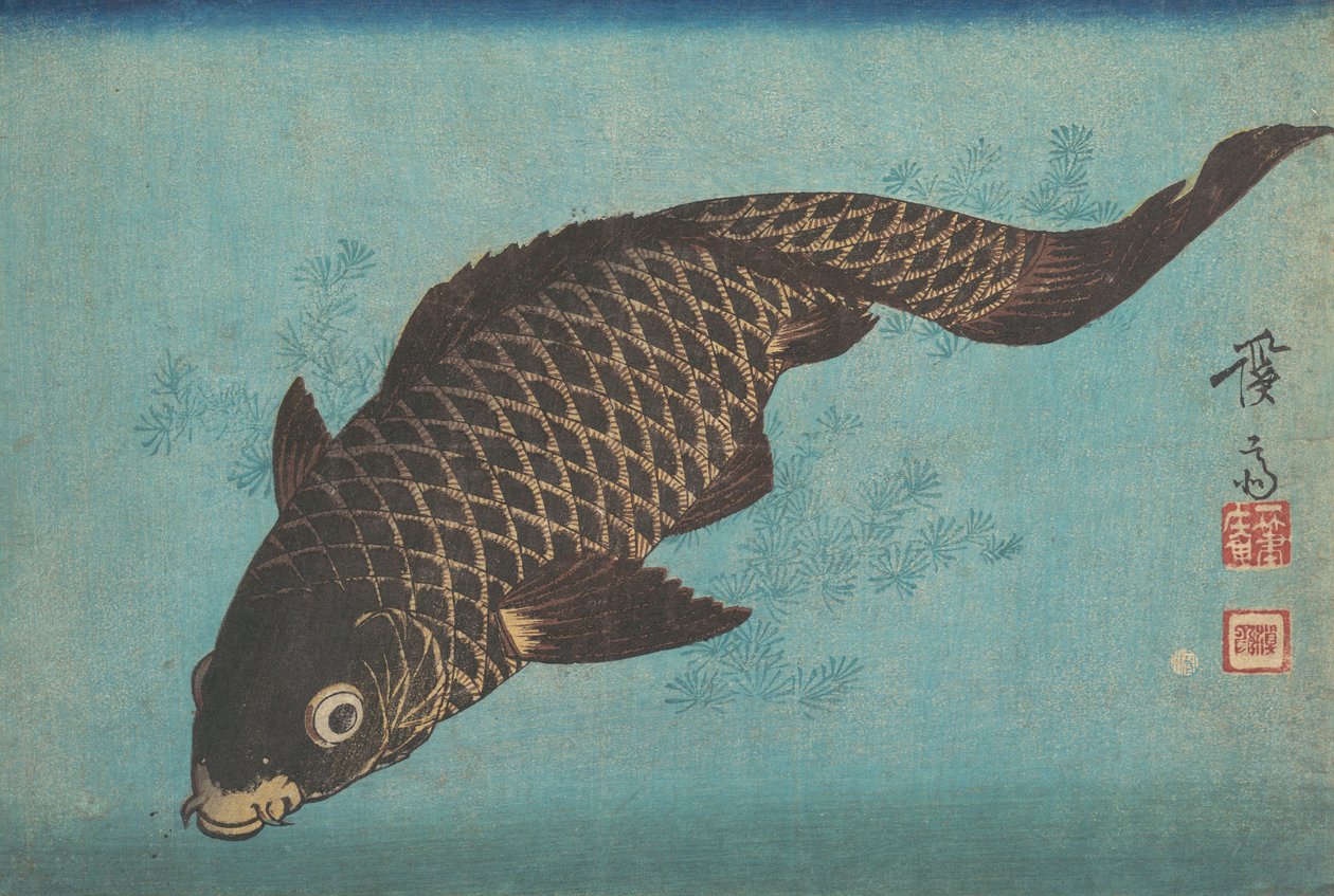 Koi, ca. 1842.  द्वारा इकेदा लोहा