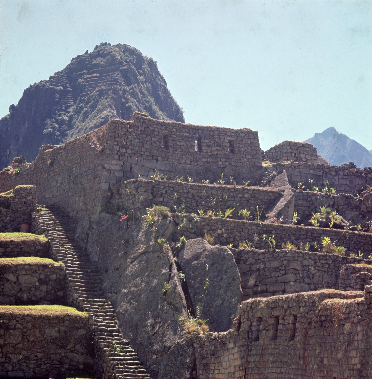 माचू पिचू में गढ़ की छत इमारतों के खंडहर द्वारा Incan