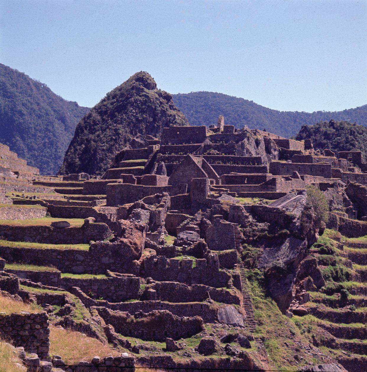 माचू पिचू में गढ़ की छत इमारतें द्वारा Incan