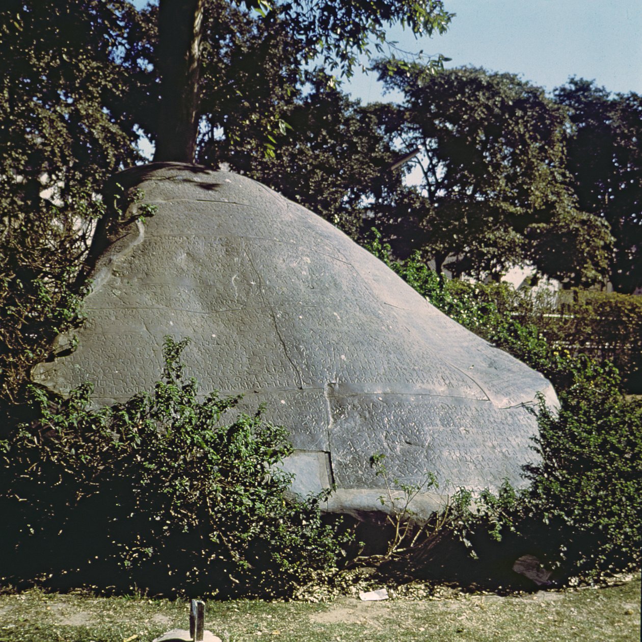 सम्राट अशोक के पत्थर की प्रति (c.264-223 ईसा पूर्व) द्वारा भारतीय