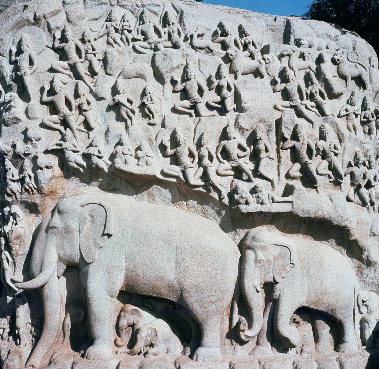 अर्जुन की तपस्या को दर्शाती राहत द्वारा इंडियन स्कूल