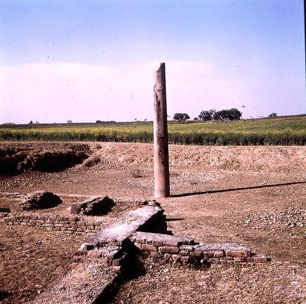 सम्राट अशोक का स्तंभ (c.264-223 ईसा पूर्व) मौर्य (फोटो) (162926 भी देखें) द्वारा भारतीय