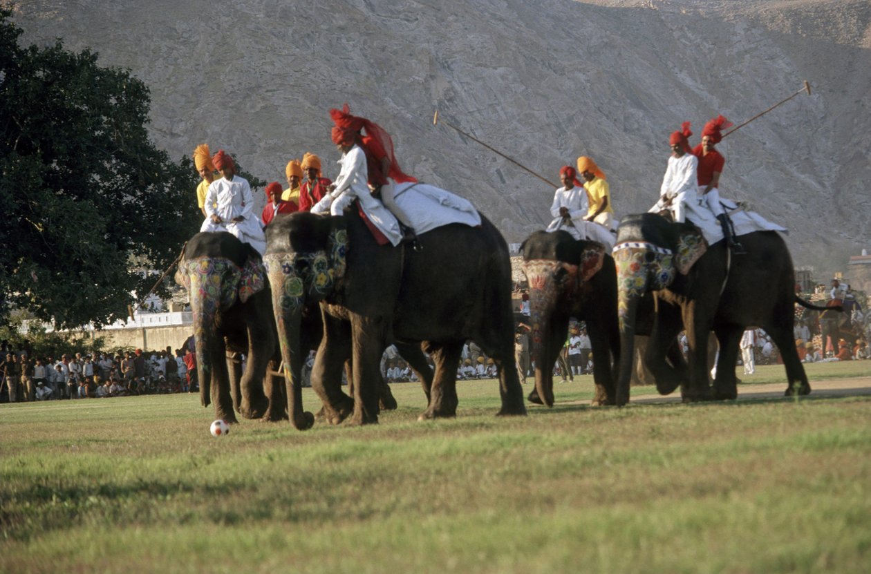  द्वारा भारतीय फोटोग्राफर