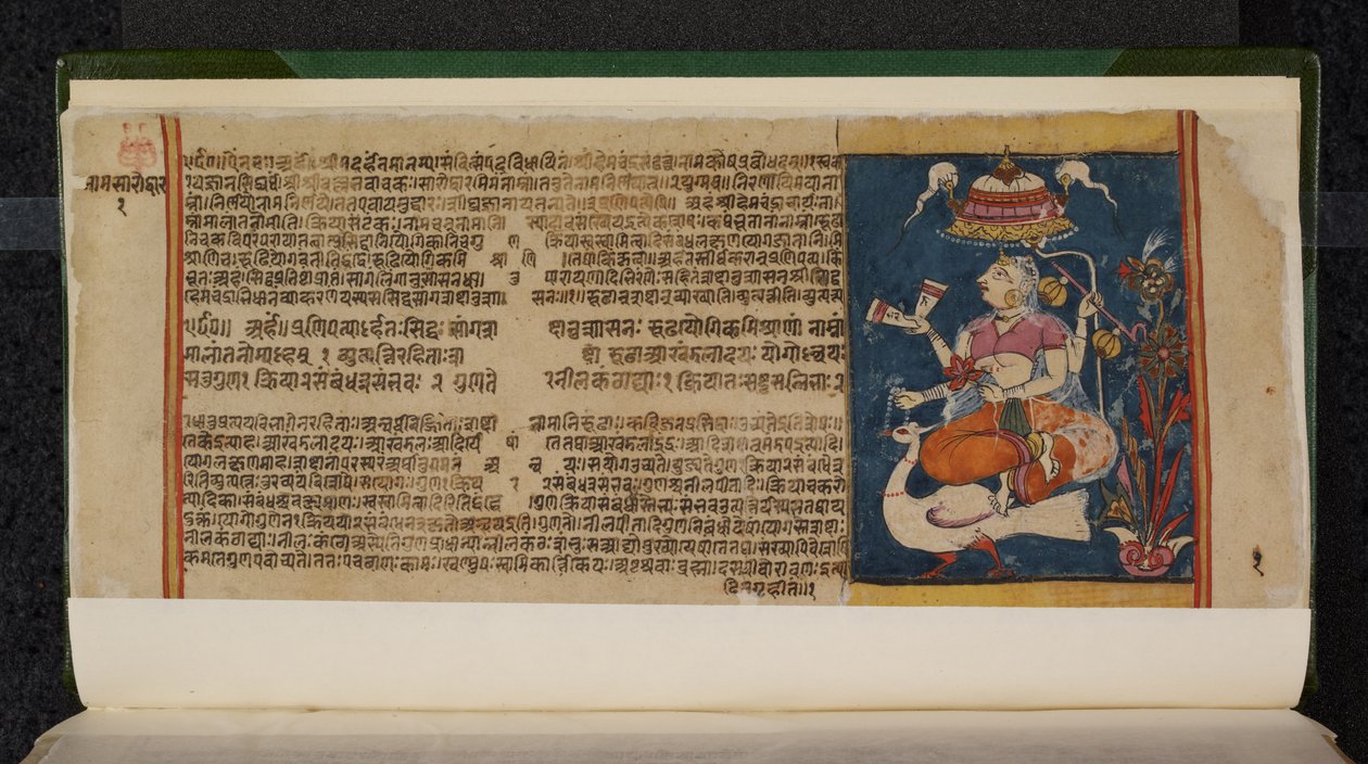  द्वारा इंडियन स्कूल