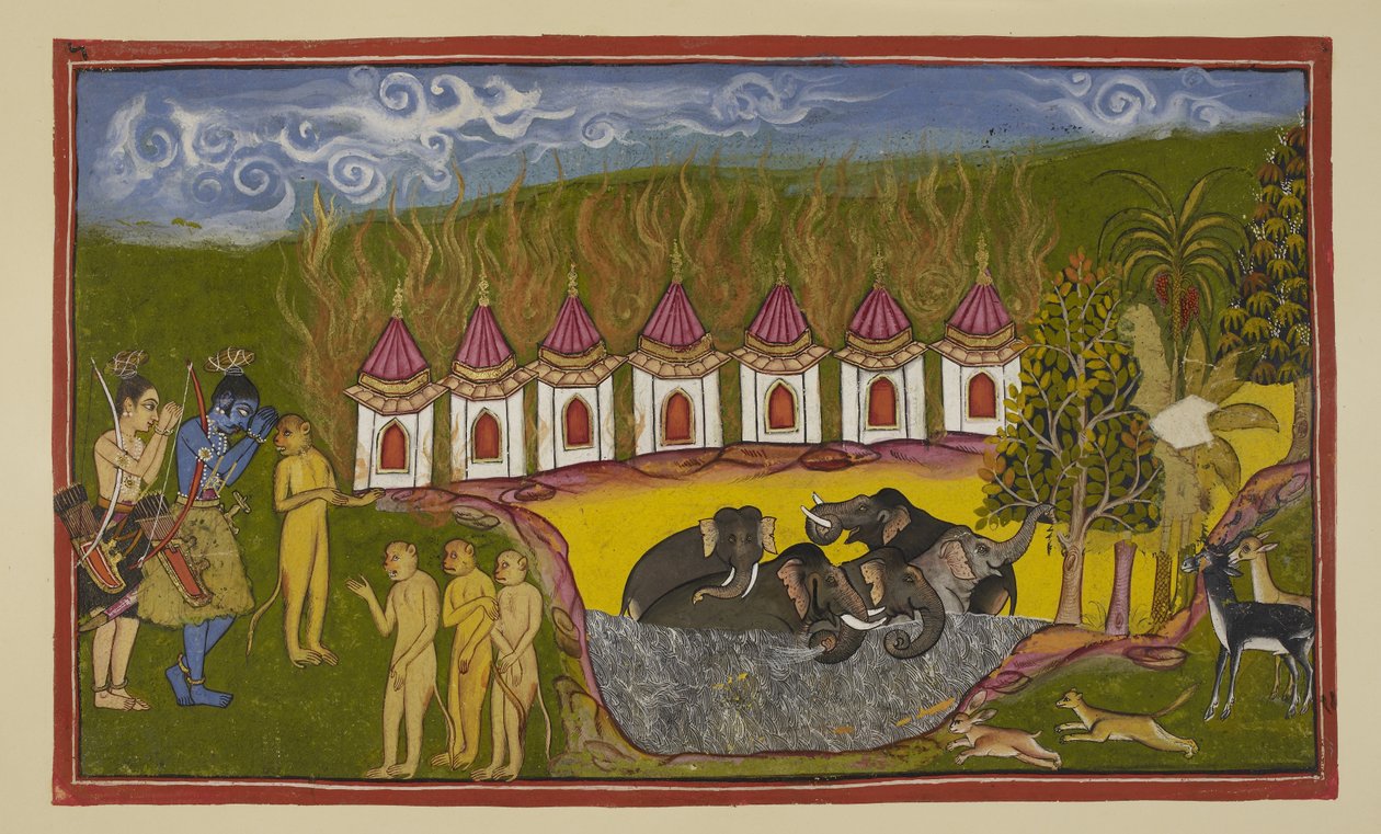  द्वारा इंडियन स्कूल