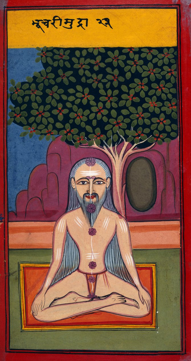  द्वारा इंडियन स्कूल