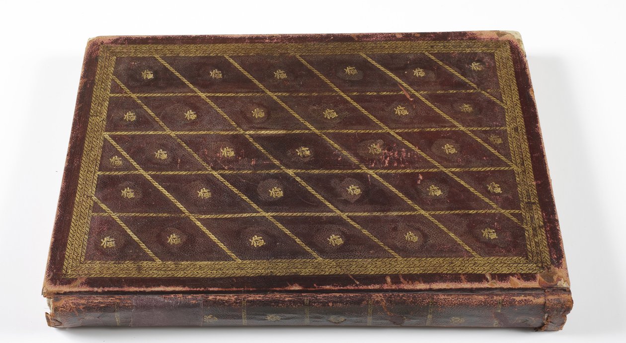 1855 में मुगल वंशीय वंशावली का एल्बम, (सोने के विस्तार वाला चमड़ा) द्वारा इंडियन स्कूल