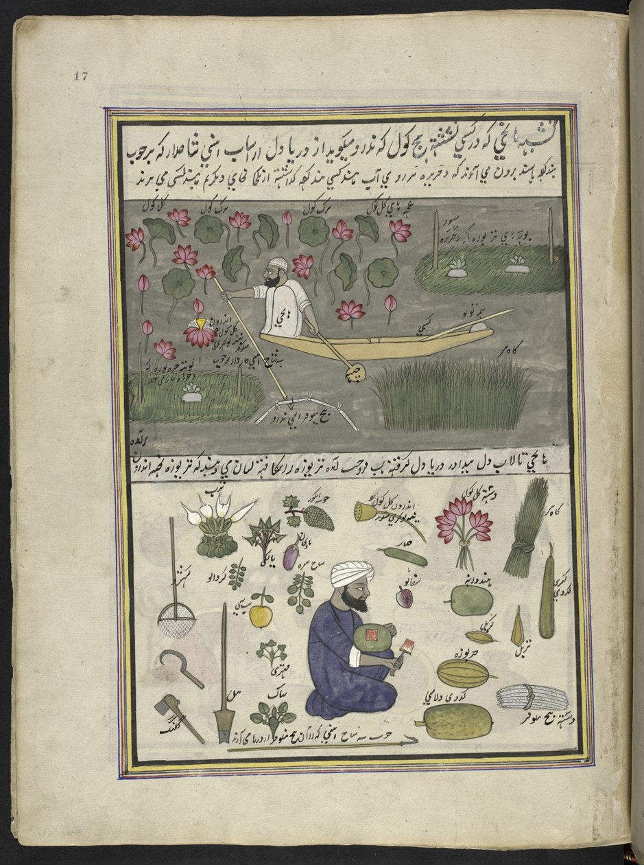  द्वारा इंडियन स्कूल