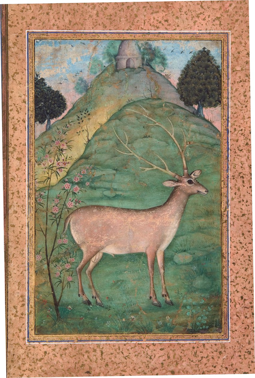 एक लैंडस्केप में बक, c.1595 (कागज पर अपारदर्शी wc और सोना) द्वारा इंडियन स्कूल