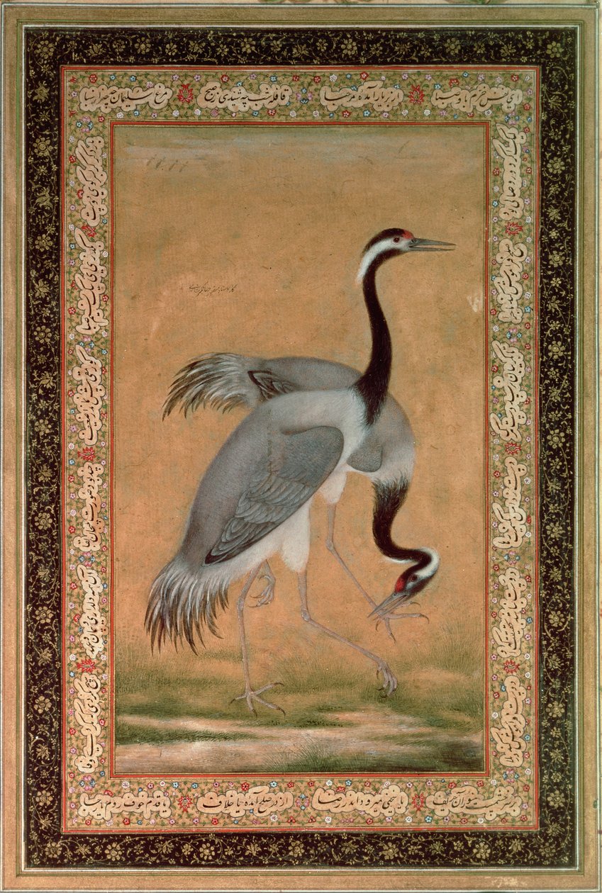 द्वारा इंडियन स्कूल