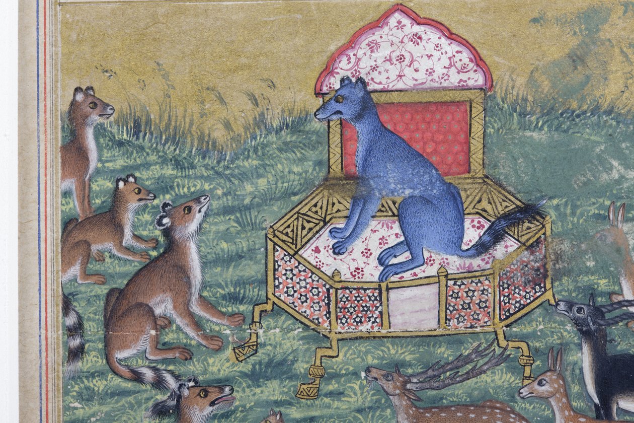 जैकल का विवरण जो खुद को राजा कहते हैं, c.1560-65 (कागज़ पर अपारदर्शी wc और सोना) द्वारा इंडियन स्कूल