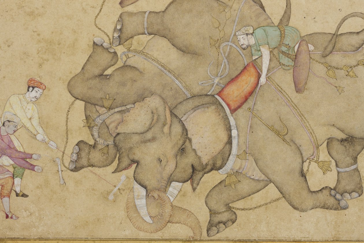 बॉर्डर फ्लोरल अरेबिक, c.1610 (पेपर पर अपारदर्शी wc और सोना) के साथ एक हाथी की लड़ाई का विस्तार द्वारा इंडियन स्कूल
