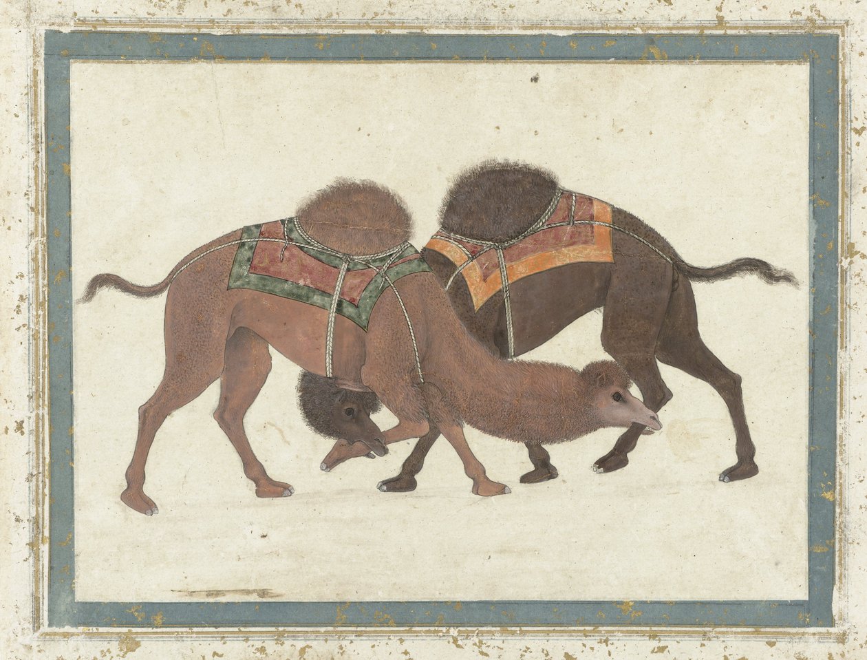 ऊंटों से लड़ना, c.1680-1700 द्वारा इंडियन स्कूल
