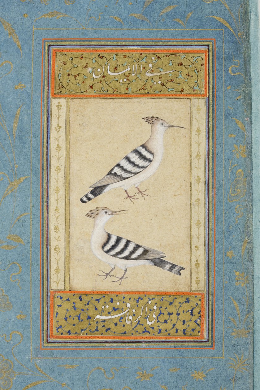 घेरा, c.1590 (कागज पर अपारदर्शी wc और सोना) द्वारा इंडियन स्कूल