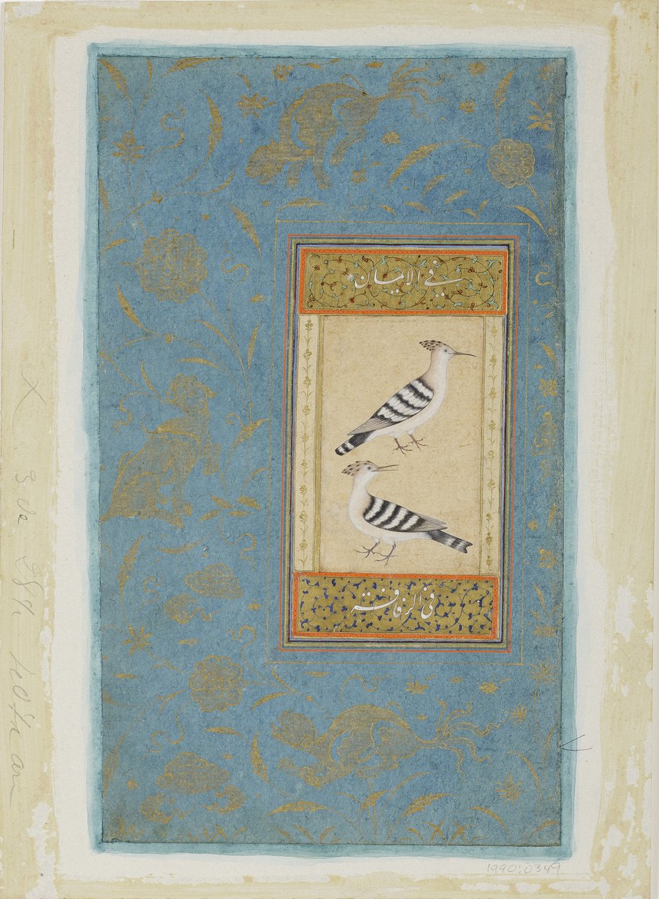 घेरा, c.1590 (कागज पर अपारदर्शी wc और सोना) द्वारा इंडियन स्कूल