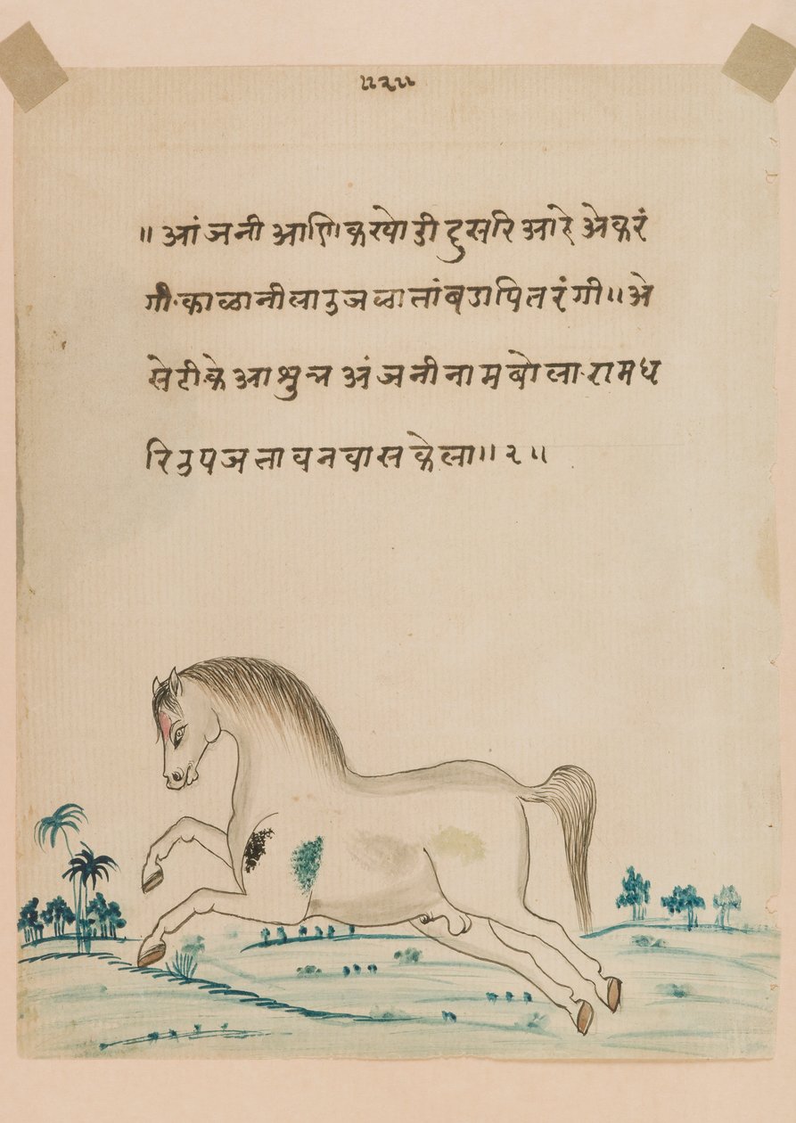 अश्व (कागज पर अपारदर्शी wc) द्वारा इंडियन स्कूल