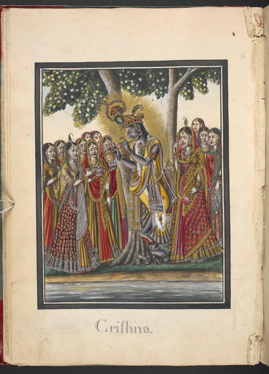  द्वारा इंडियन स्कूल