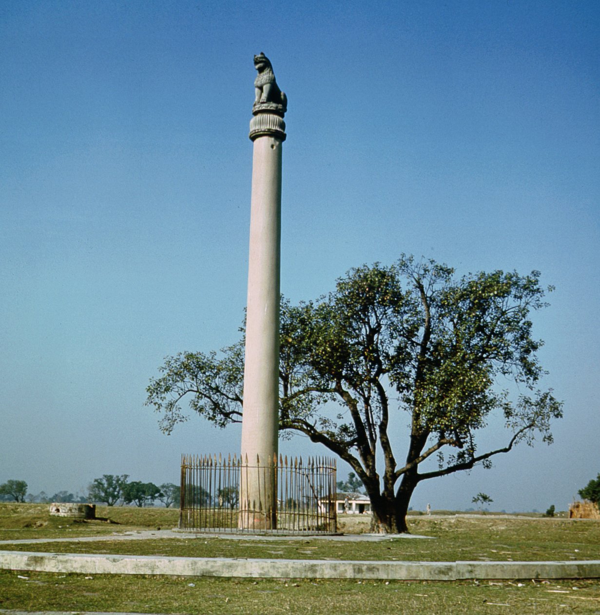 सम्राट अशोक का सिंह स्तंभ (c.264-223 ईसा पूर्व) द्वारा इंडियन स्कूल
